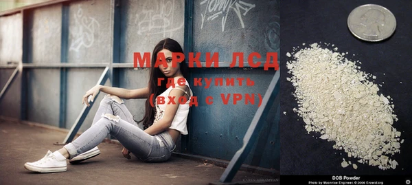 эйфоретик Алзамай