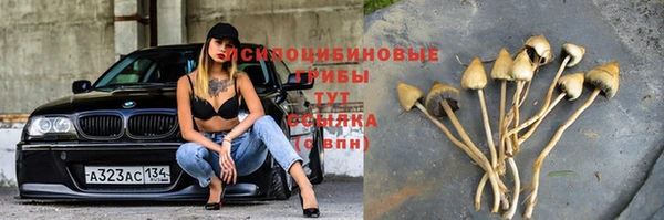 кокс Алексин