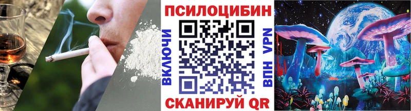 Купить где  Грозный  Псилоцибиновые грибы GOLDEN TEACHER 